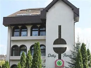 Detty Panzio Hotel