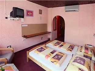 Detty Panzio Hotel 3*